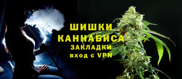 сатива Гусев