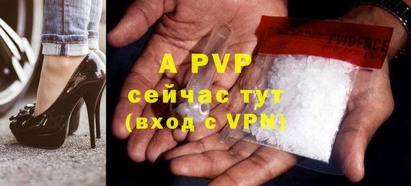 сатива Гусев