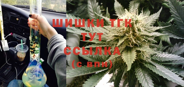 сатива Гусиноозёрск