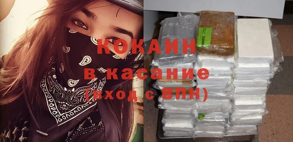 сатива Гусев