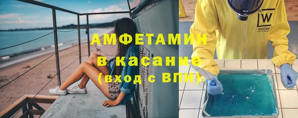 сатива Гусев