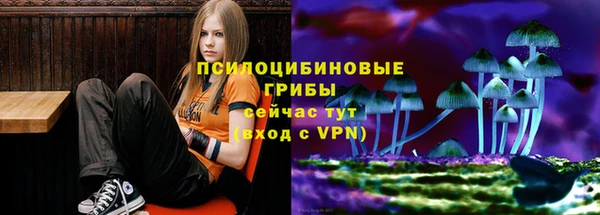 сатива Гусиноозёрск